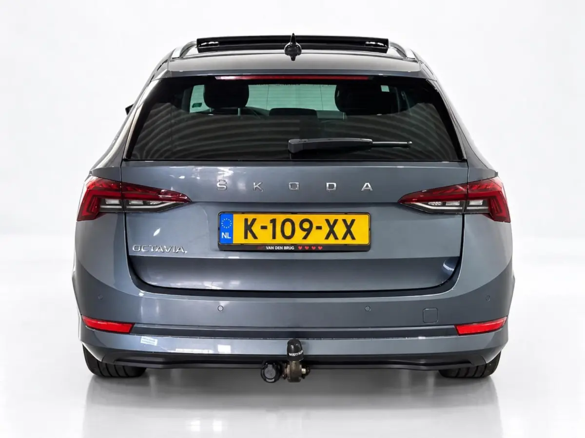 1.0 TSI 110pk Business Edition Plus | Panoramadak | Stoelverwarming | Trekhaak