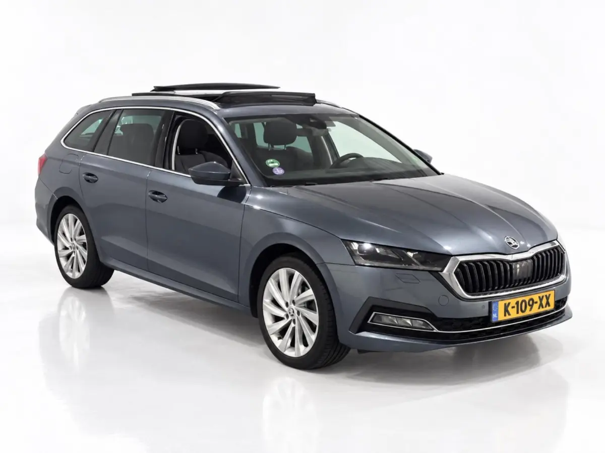 1.0 TSI 110pk Business Edition Plus | Panoramadak | Stoelverwarming | Trekhaak