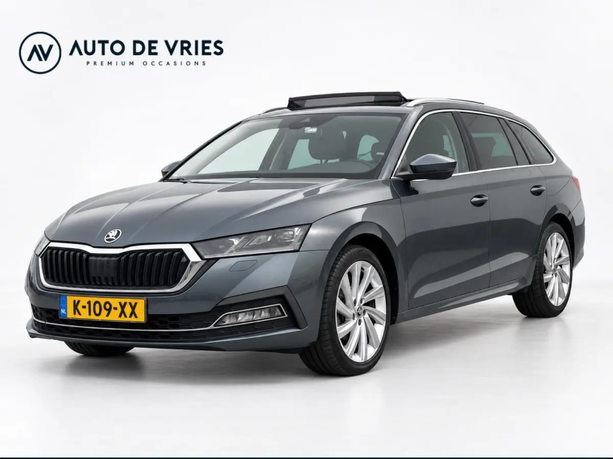 1.0 TSI 110pk Business Edition Plus | Panoramadak | Stoelverwarming | Trekhaak