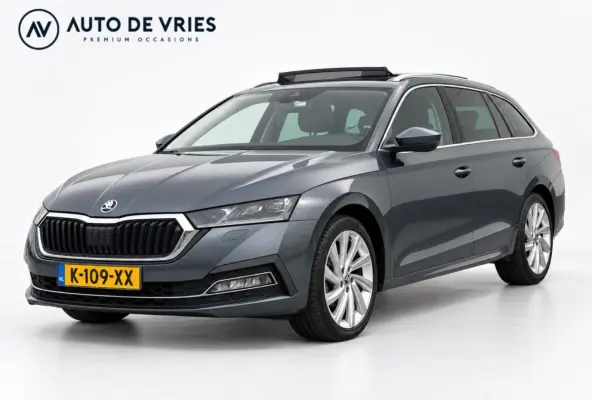 1.0 TSI 110pk Business Edition Plus | Panoramadak | Stoelverwarming | Trekhaak