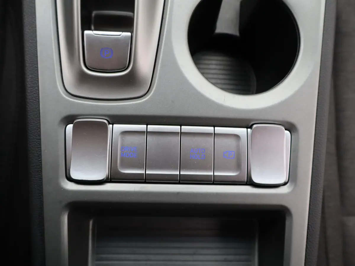 EV Fashion 39 kWh | Trekhaak | | Cruise control adaptief met Stop&Go | Cruisecontrol adaptief | DAB ontvanger