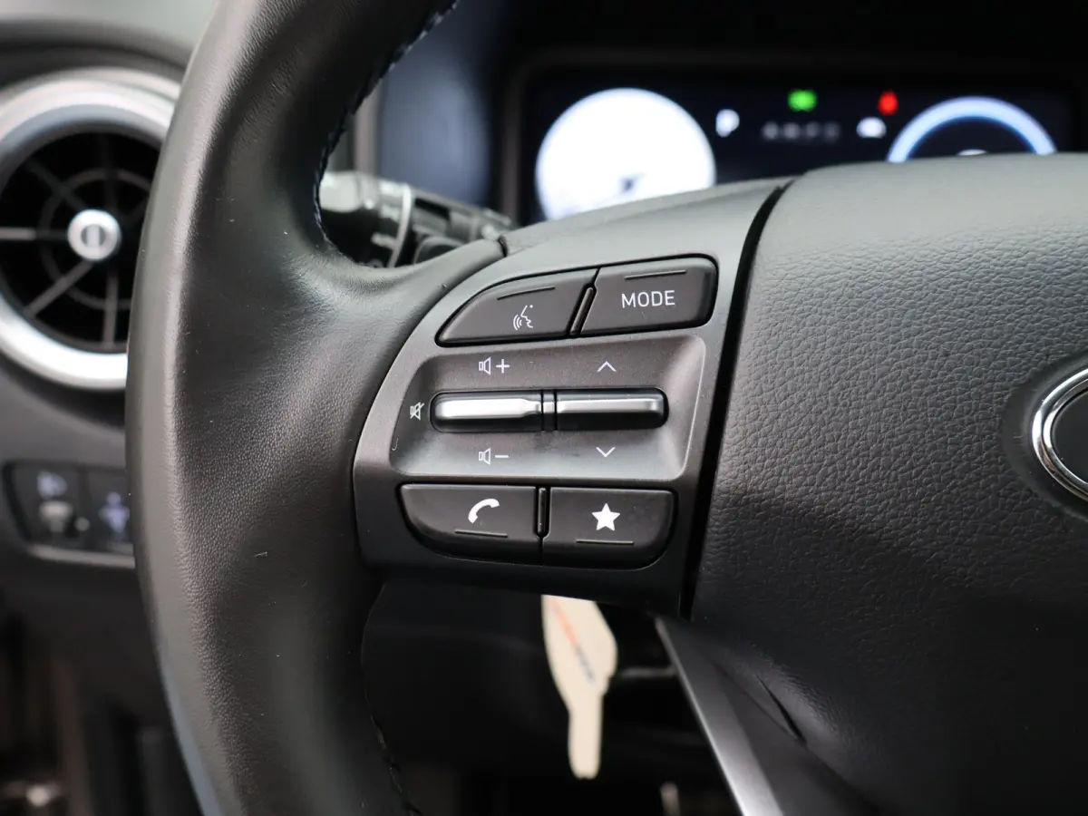 EV Fashion 39 kWh | Trekhaak | | Cruise control adaptief met Stop&Go | Cruisecontrol adaptief | DAB ontvanger