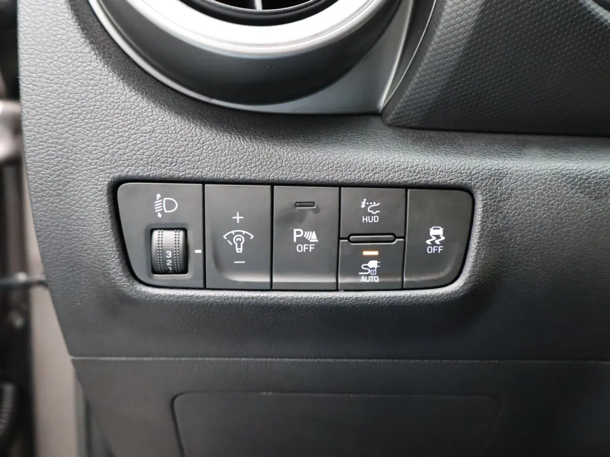 EV Fashion 39 kWh | Trekhaak | | Cruise control adaptief met Stop&Go | Cruisecontrol adaptief | DAB ontvanger
