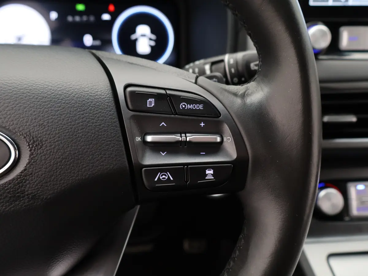EV Fashion 39 kWh | Trekhaak | | Cruise control adaptief met Stop&Go | Cruisecontrol adaptief | DAB ontvanger