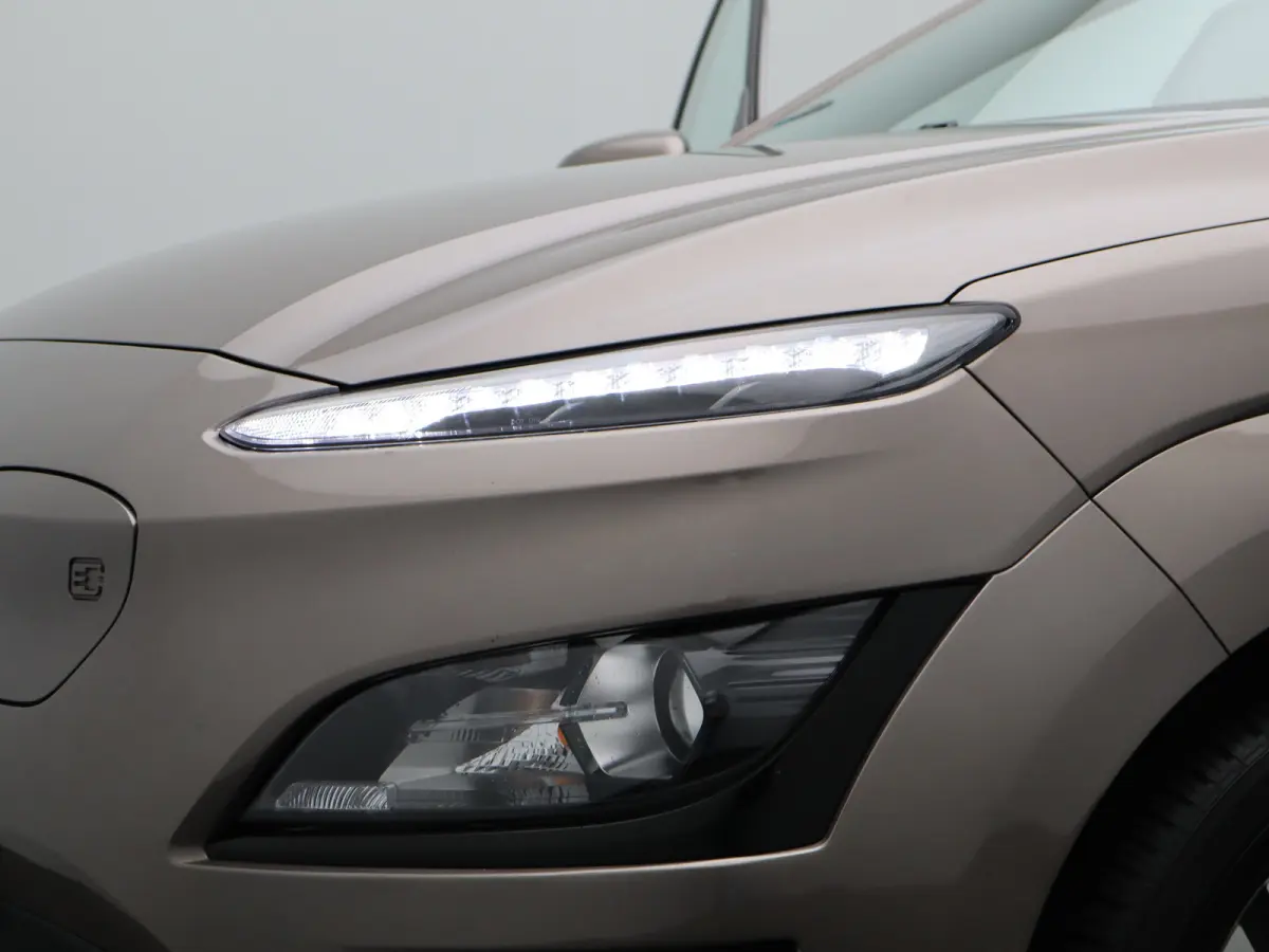 EV Fashion 39 kWh | Trekhaak | | Cruise control adaptief met Stop&Go | Cruisecontrol adaptief | DAB ontvanger