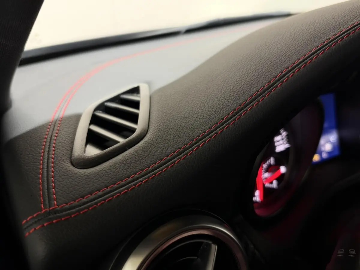 AMG Pano Leer Memory Camera Cruise NAP
