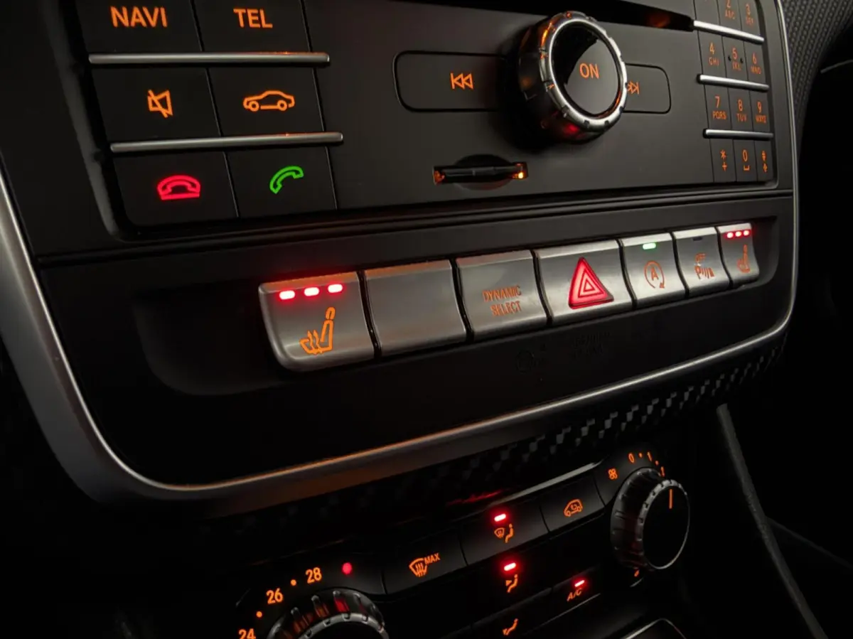 AMG Pano Leer Memory Camera Cruise NAP