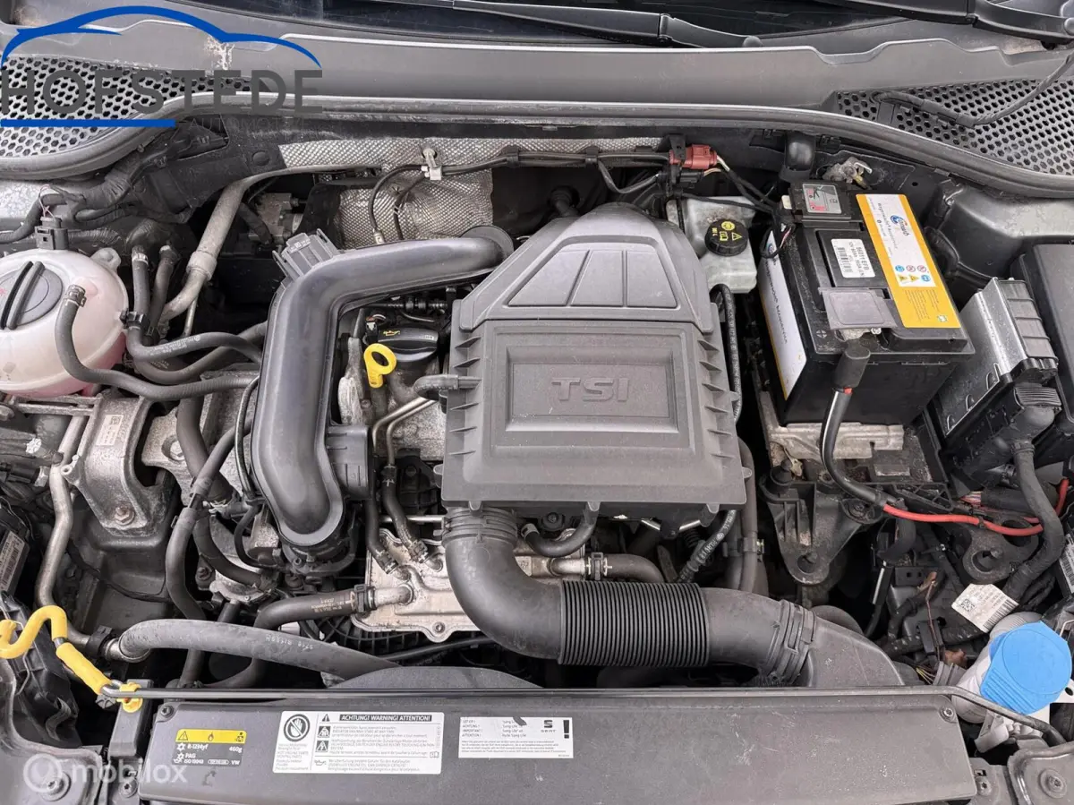 1.0 EcoTSI Reference |Ruim | Zuinig | Praktisch