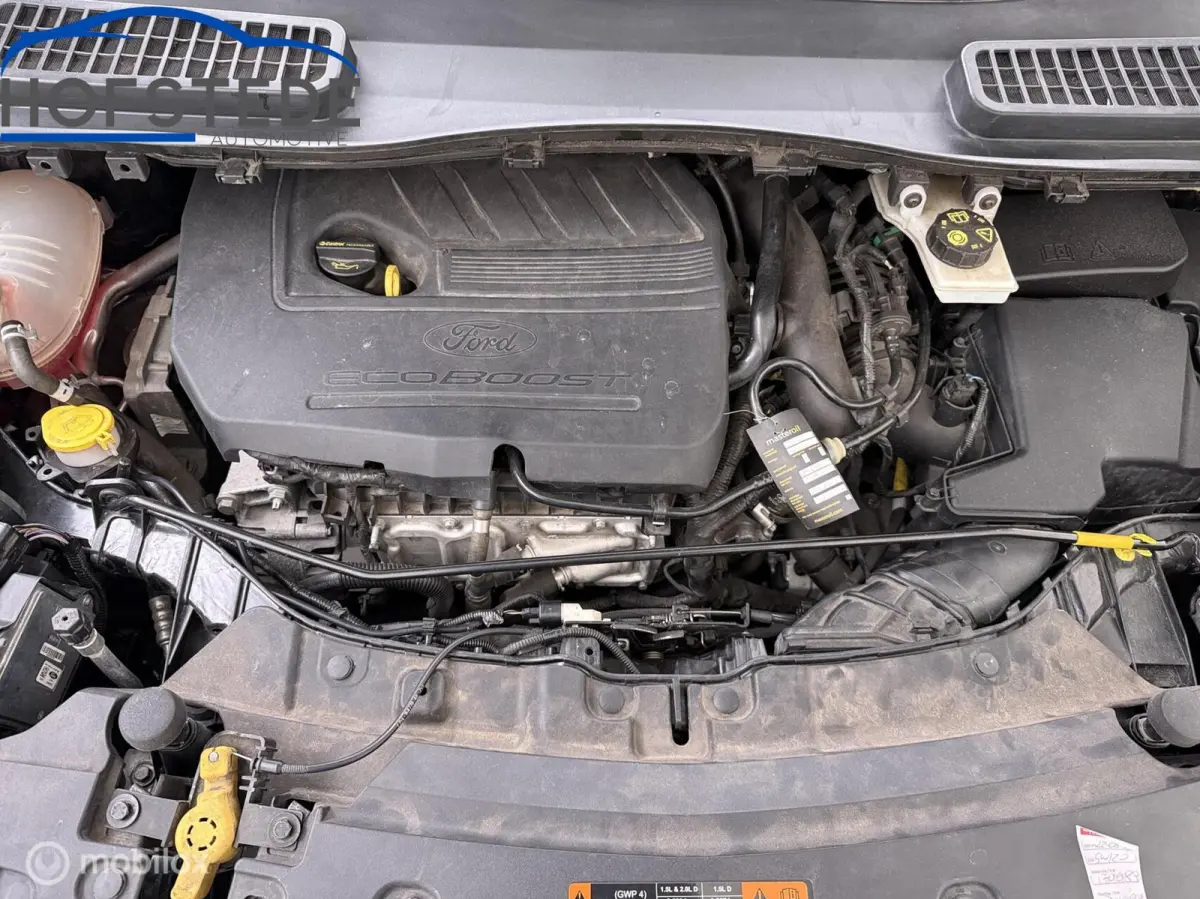 1.5 EcoBoost ST-Line Sportief | Comfortabel | SUV
