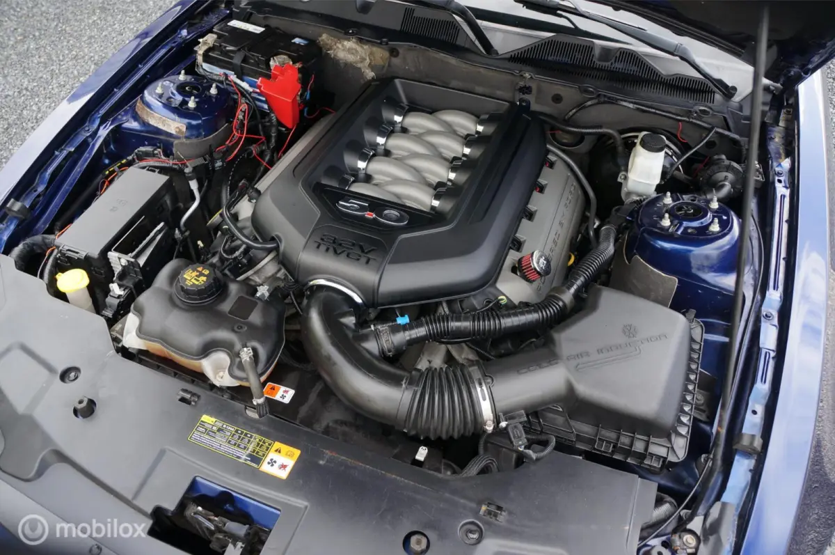 USA 5.0 V8 GT Premium Manual Coyote Shaker Tof!