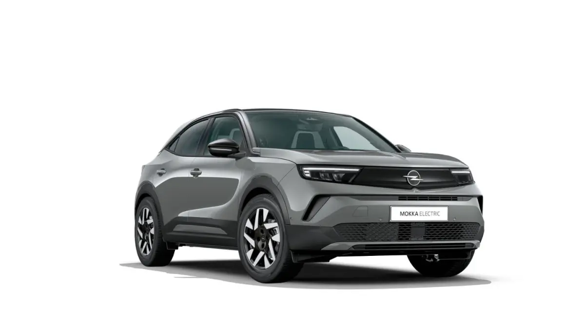 Business Edition - Electric | 17" Lichtmetalen velgen | Achteruitrijcamera | Adaptive Cruise control