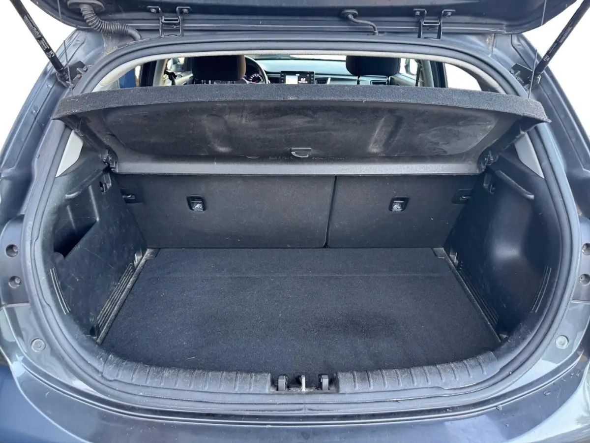 1.0 TGDI DynamicLine | Navigatie | Parkeer camera achter |  Keyless