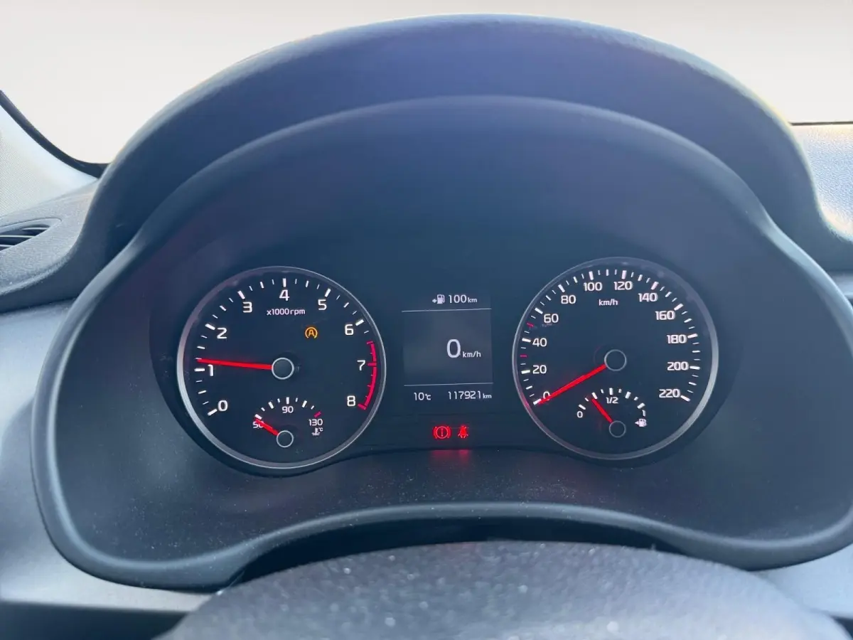 1.0 TGDI DynamicLine | Navigatie | Parkeer camera achter |  Keyless