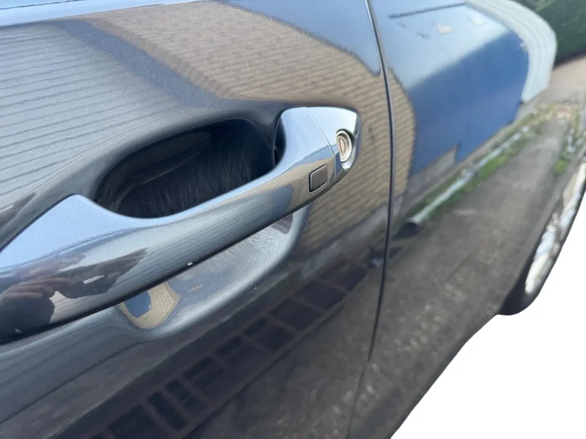 1.0 TGDI DynamicLine | Navigatie | Parkeer camera achter |  Keyless