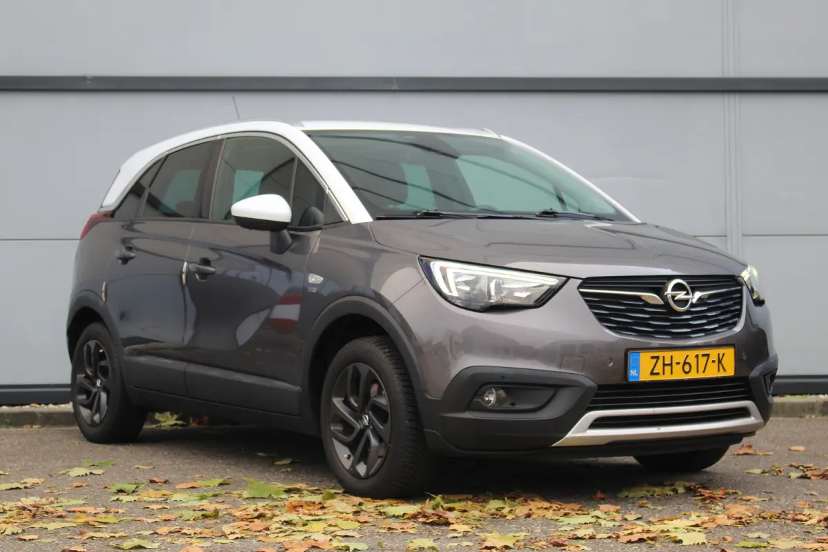 1.2 Turbo 120 Jaar Edition | Camera | Trekh Afn. | PDC V+A | Carplay | Cruise | Camera | Trekh Afn. | PDC V+A | Carplay | Cruise |