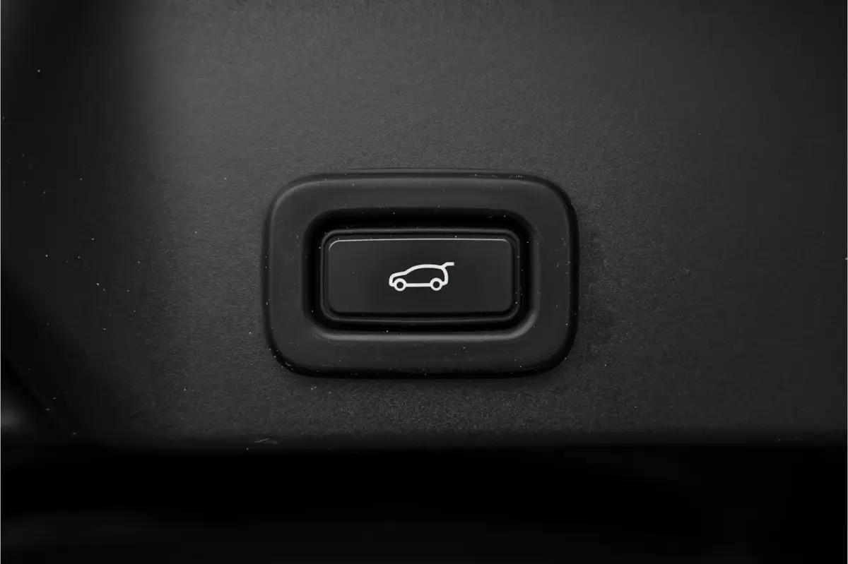 2.0 P200 AWD Black Pack Standkachel Camera Stoelverw 20"
