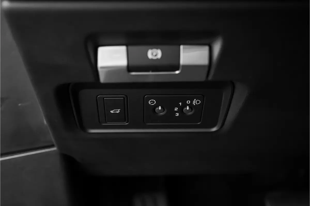 2.0 P200 AWD Black Pack Standkachel Camera Stoelverw 20"