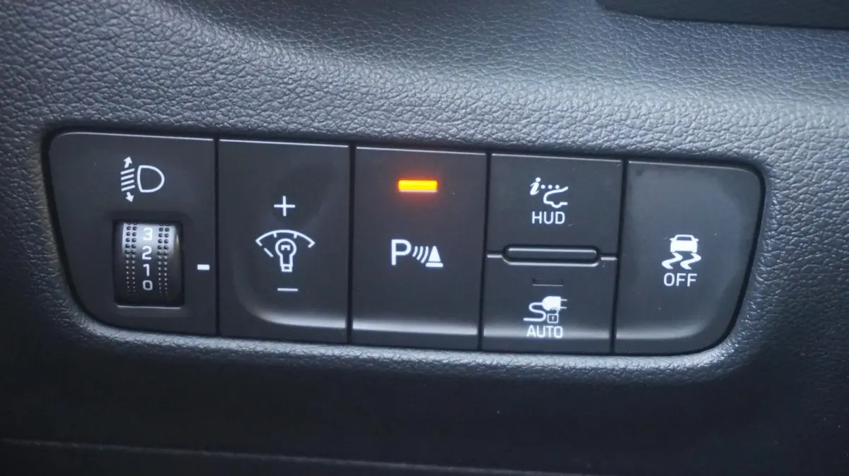EV Premium 64 kWh NL auto
