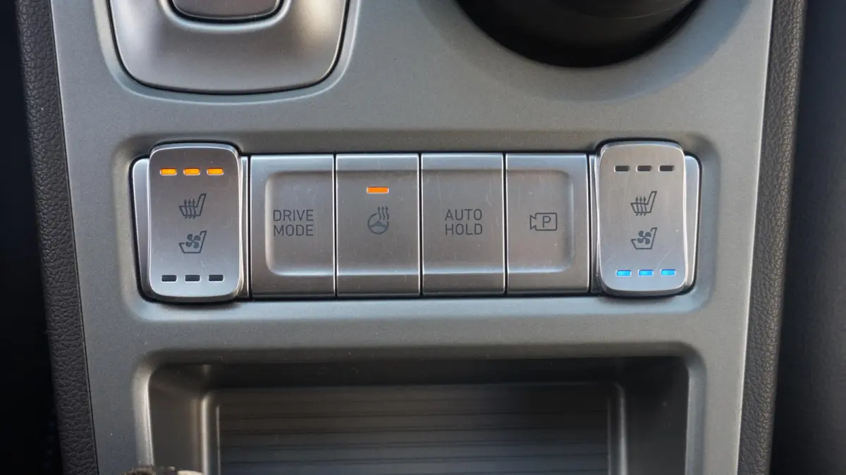 EV Premium 64 kWh NL auto