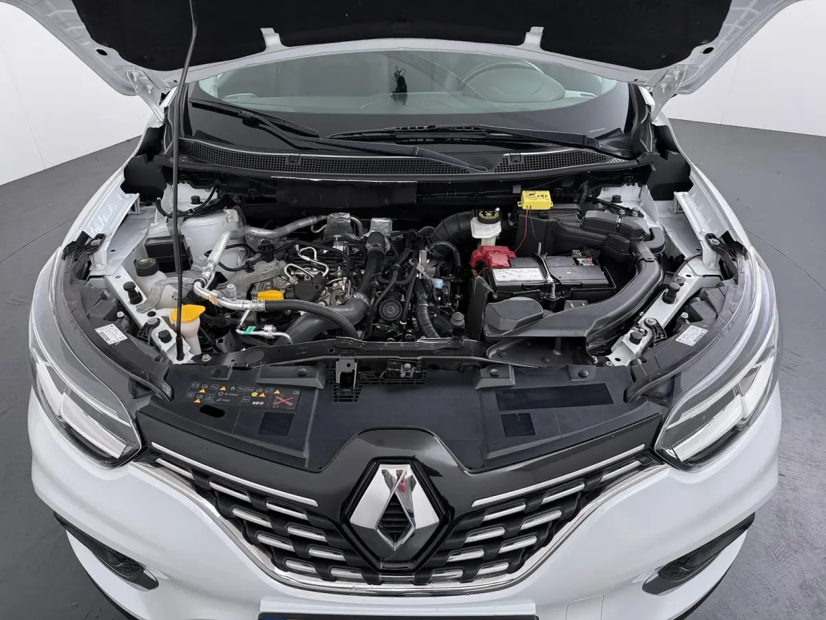 Enery TCe 160 EDV Black Edition | Automaat | Trekhaak | Panoramadak |