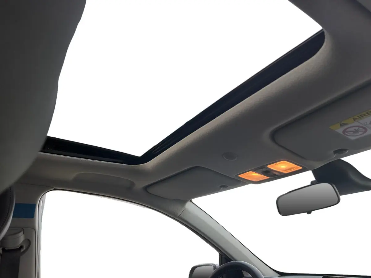 1.0 DPI GT-Line Dealer onderhouden | Full options | Stoel + stuurverwarming | Schuifkanteldak |