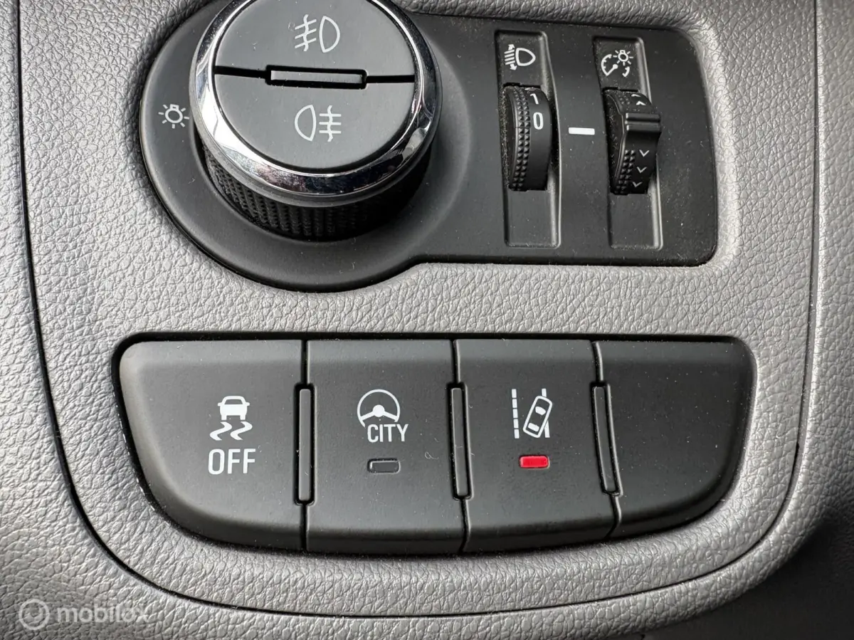 1.0 ecoFLEX Cosmo "AIRCO+CRUISE+LEDER+LMV"