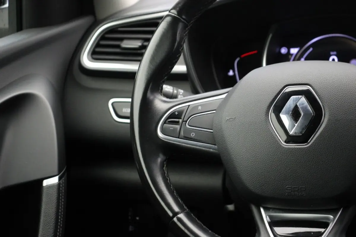 1.3 TCe Intens Automaat - Carplay, Camera, Clima, , Half Leer, Blind Spot, Trekhaak