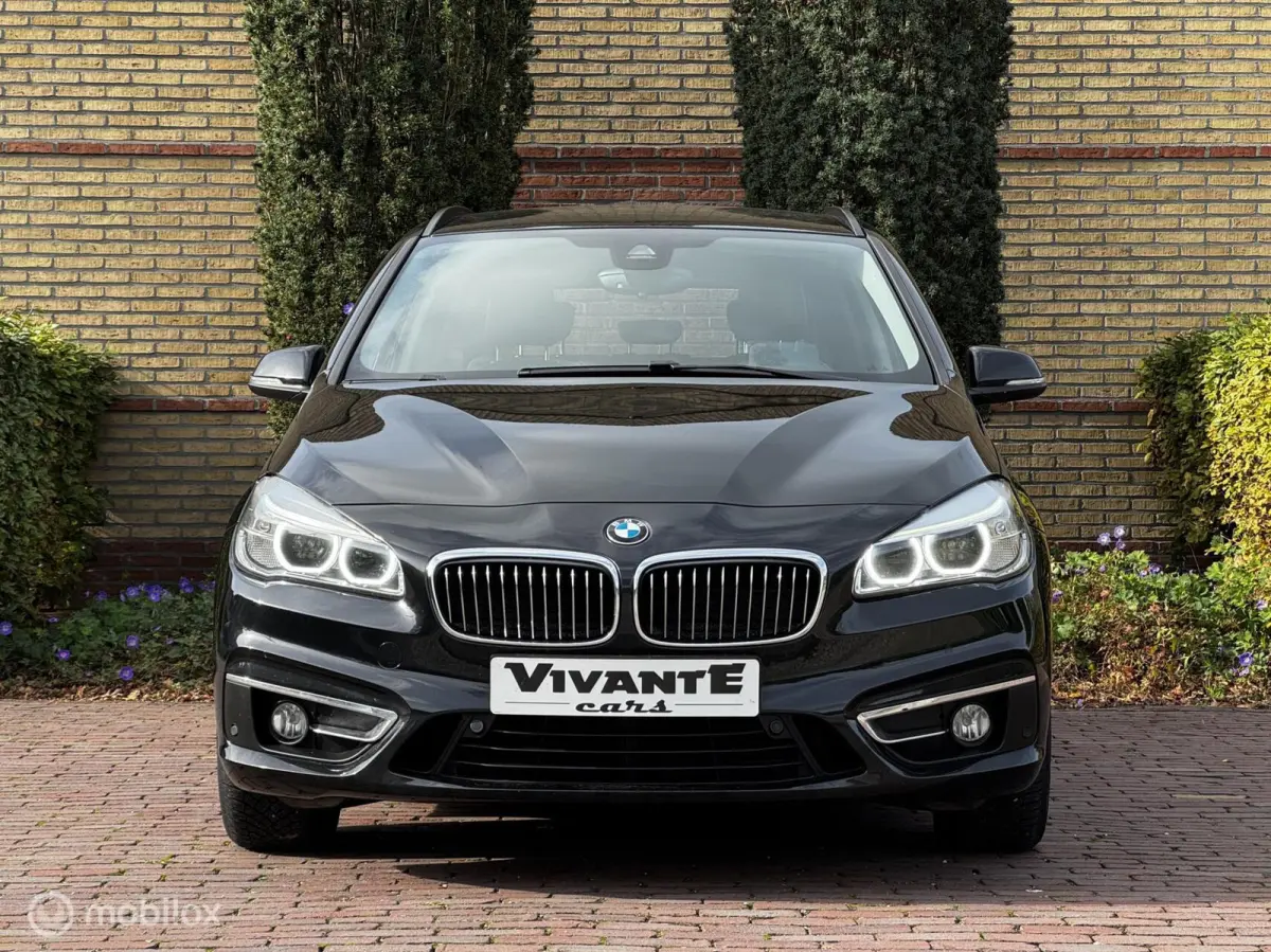 220i Luxury Line Camera*Leder*Head-Up