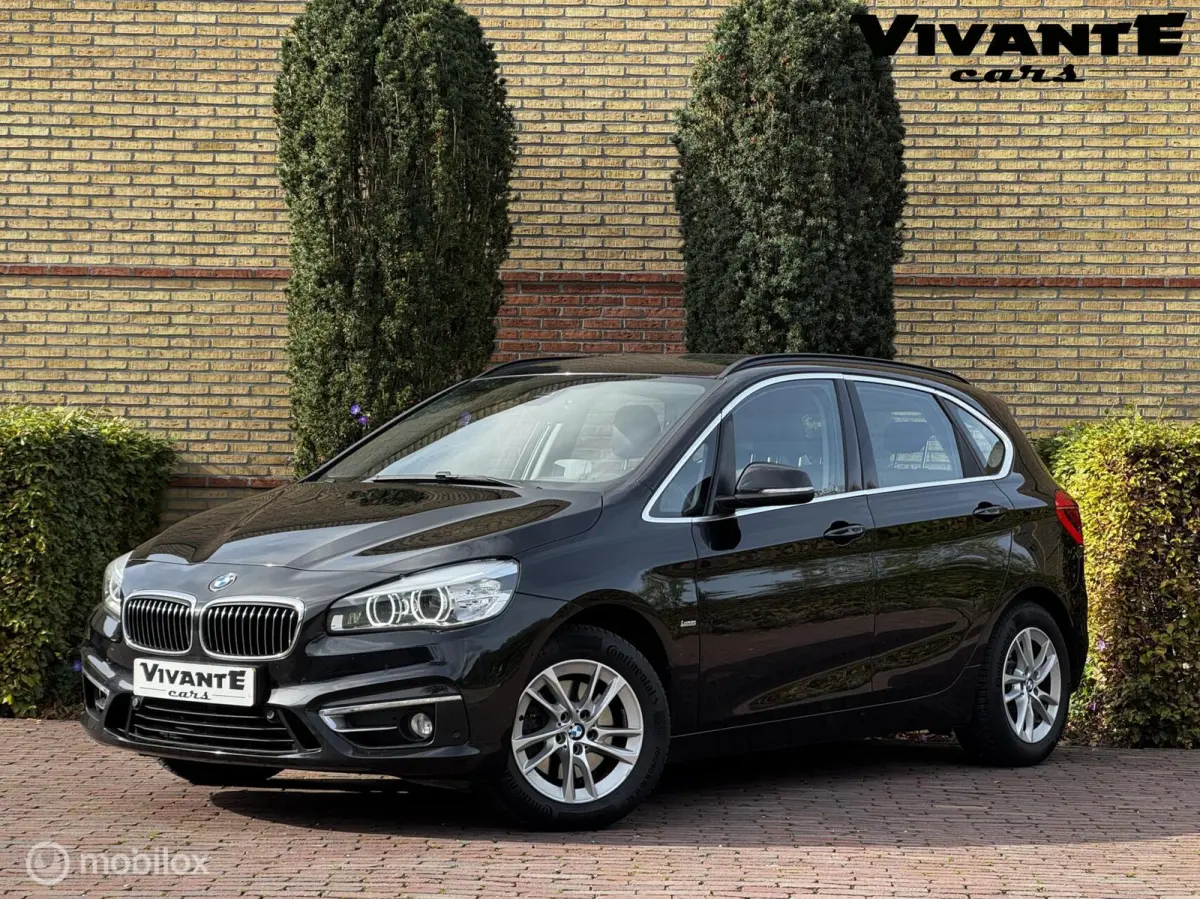 220i Luxury Line Camera*Leder*Head-Up