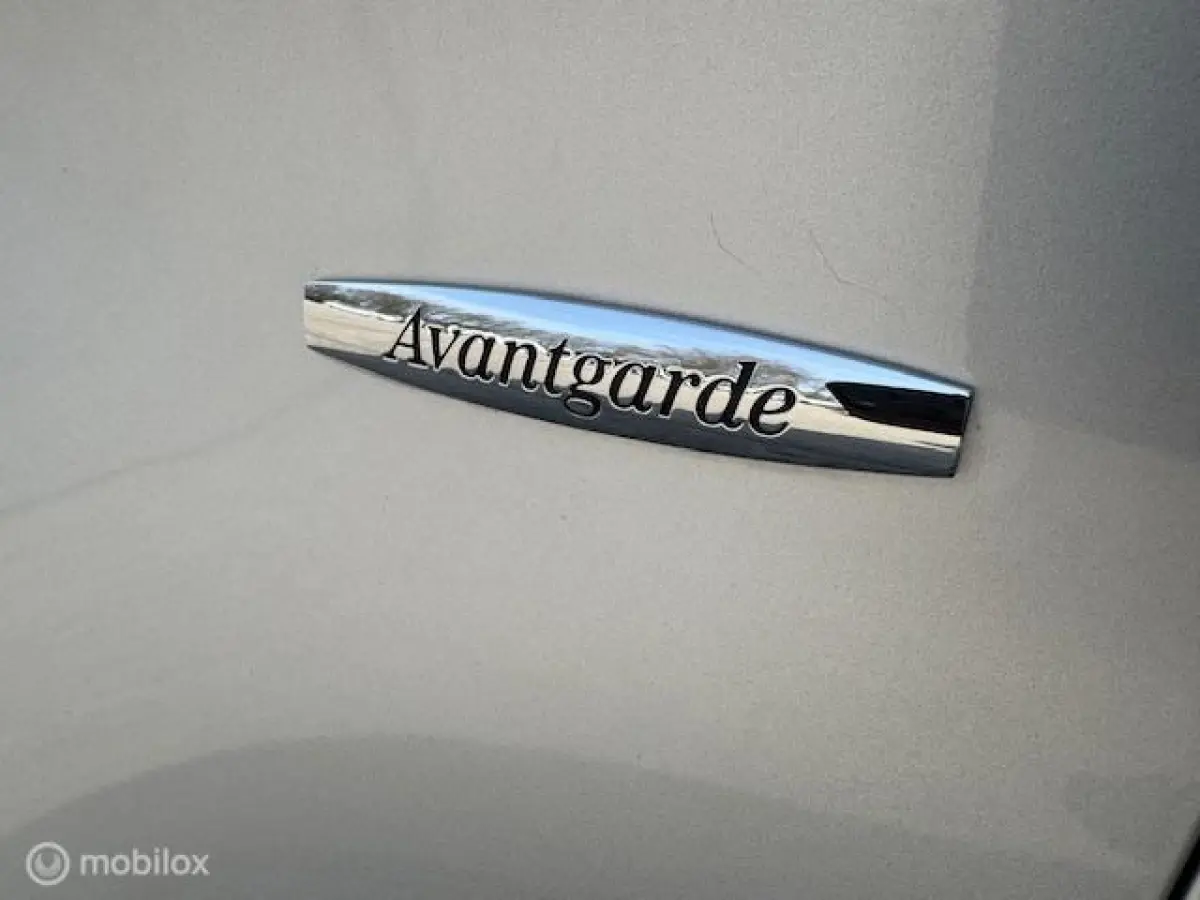 250 BlueTEC Lang DC Avantgarde