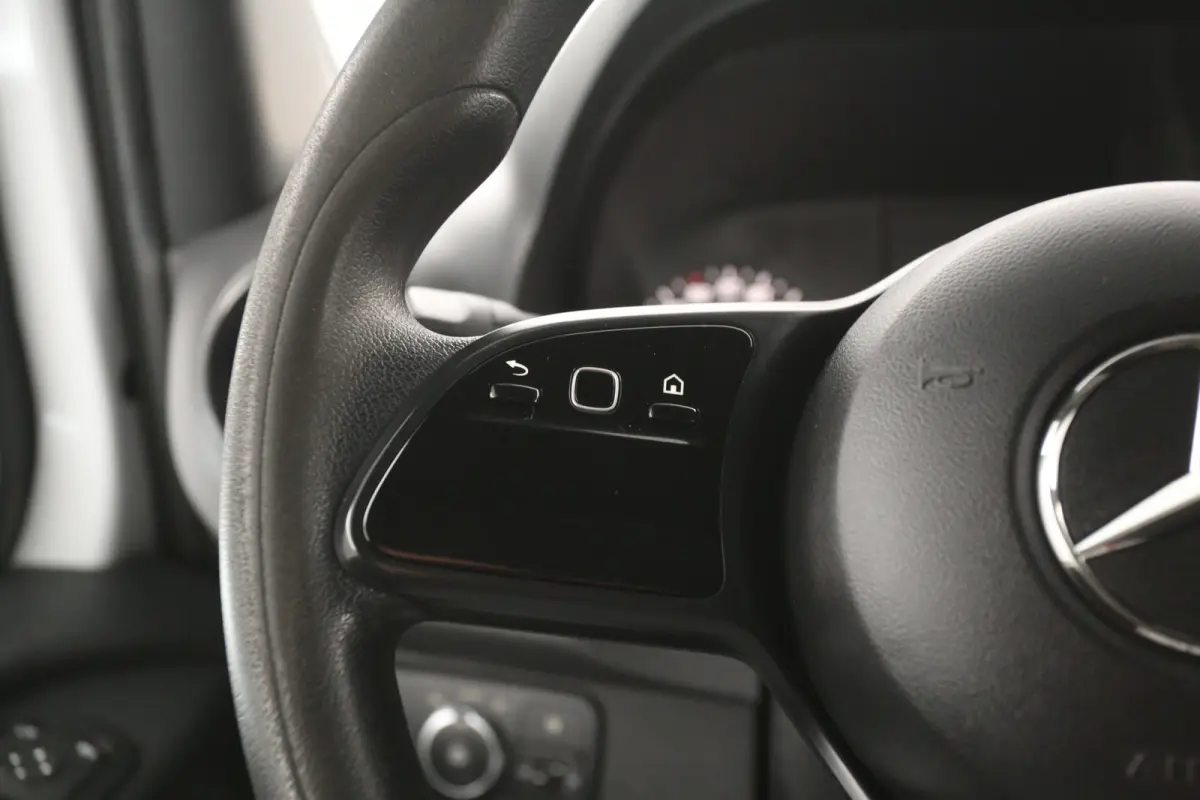 CDI L2H2 | Camera | Carplay | Elektrpakket