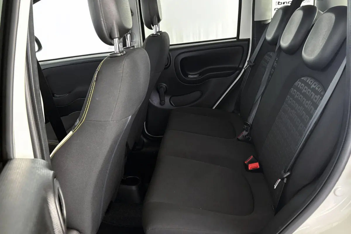 1.0 Hybrid Pandina Airco Apple CarPlay Cruise Control