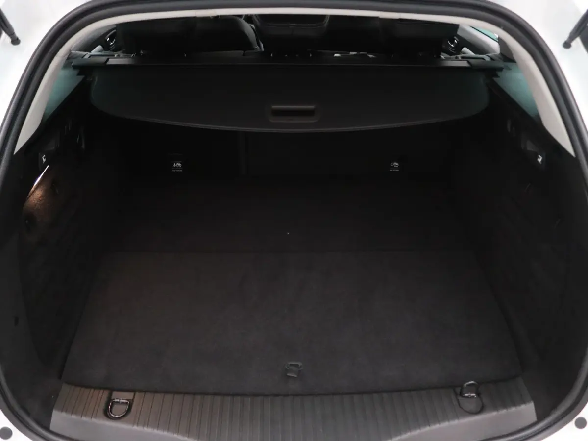 Estate 160pk Plug-In Hybrid Intens Apple Carplay/Android Auto | Climate