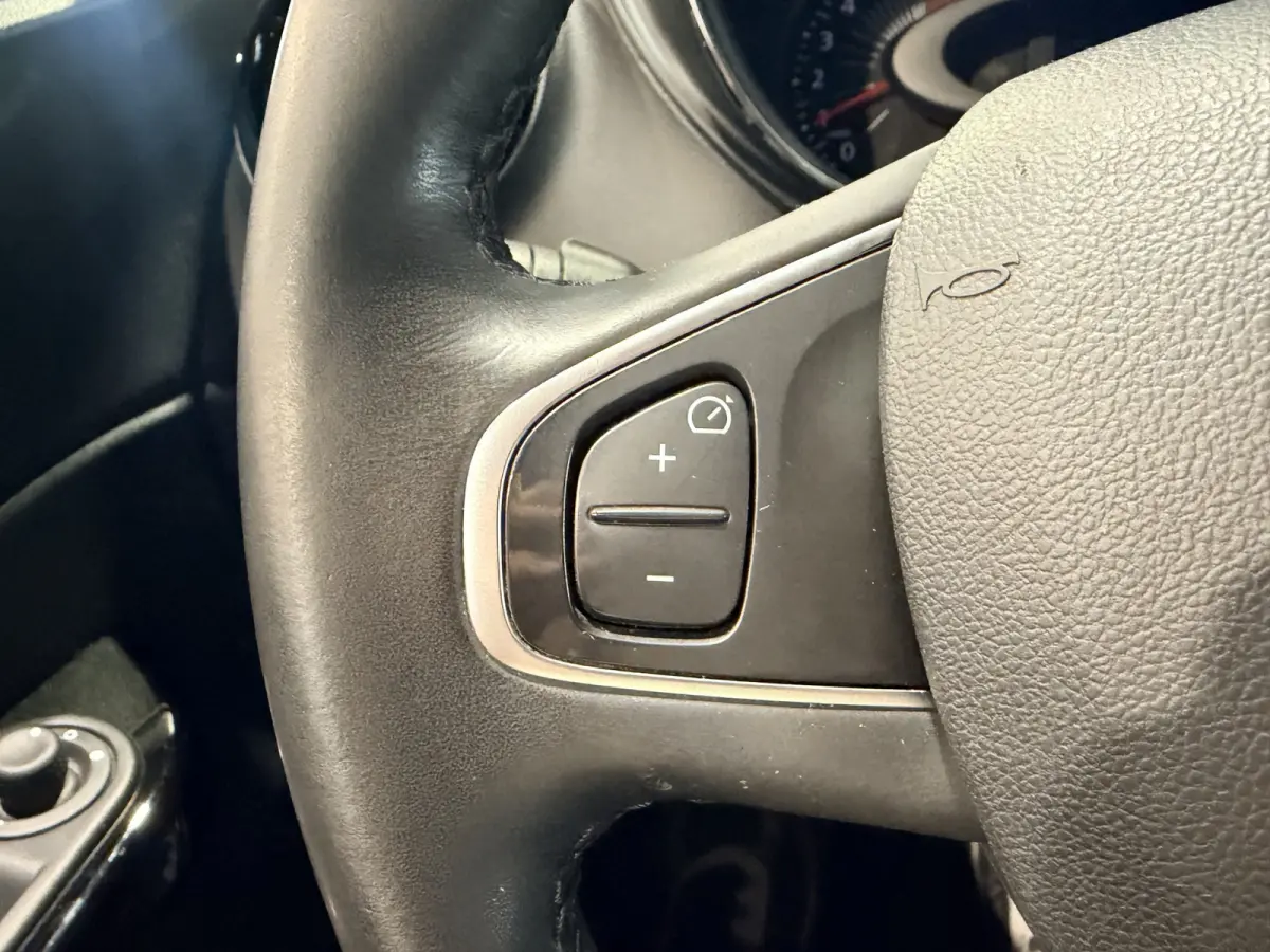 1.2 TCe Dynamique Camera | Navigatie | Airco | Cruise control