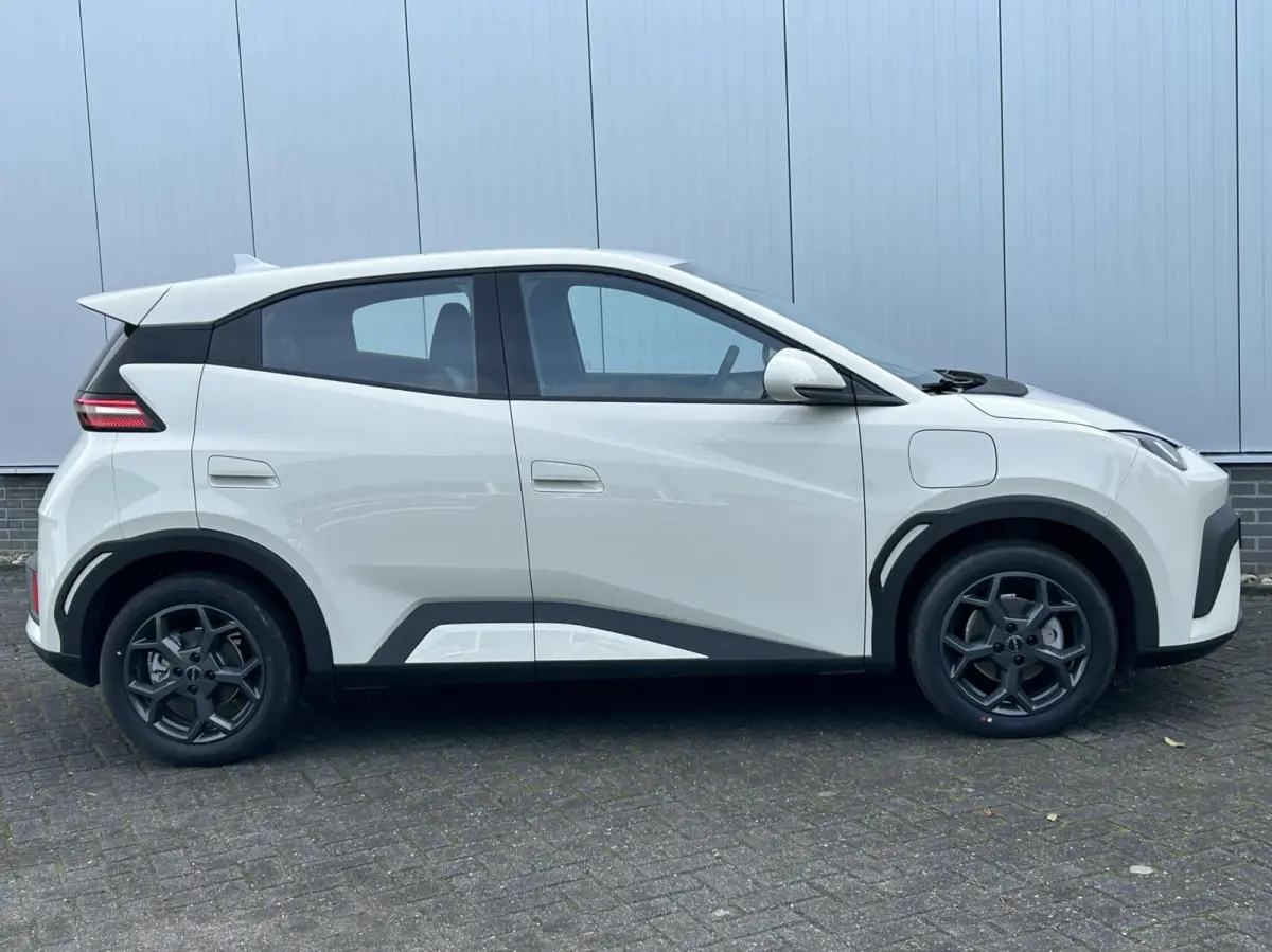 Boost 43 kWh NIEUW I DIRECT RIJDEN