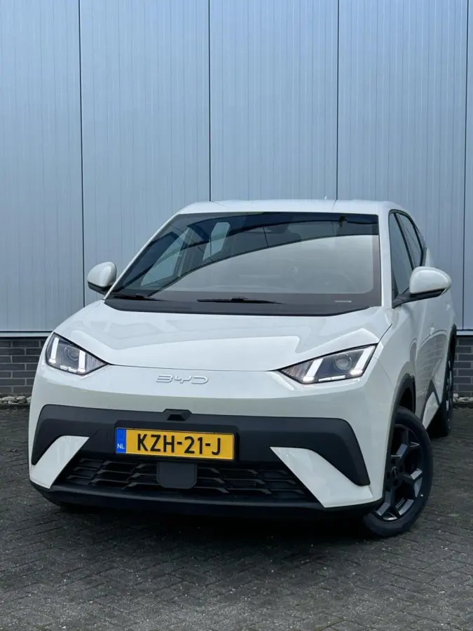 Boost 43 kWh NIEUW I DIRECT RIJDEN