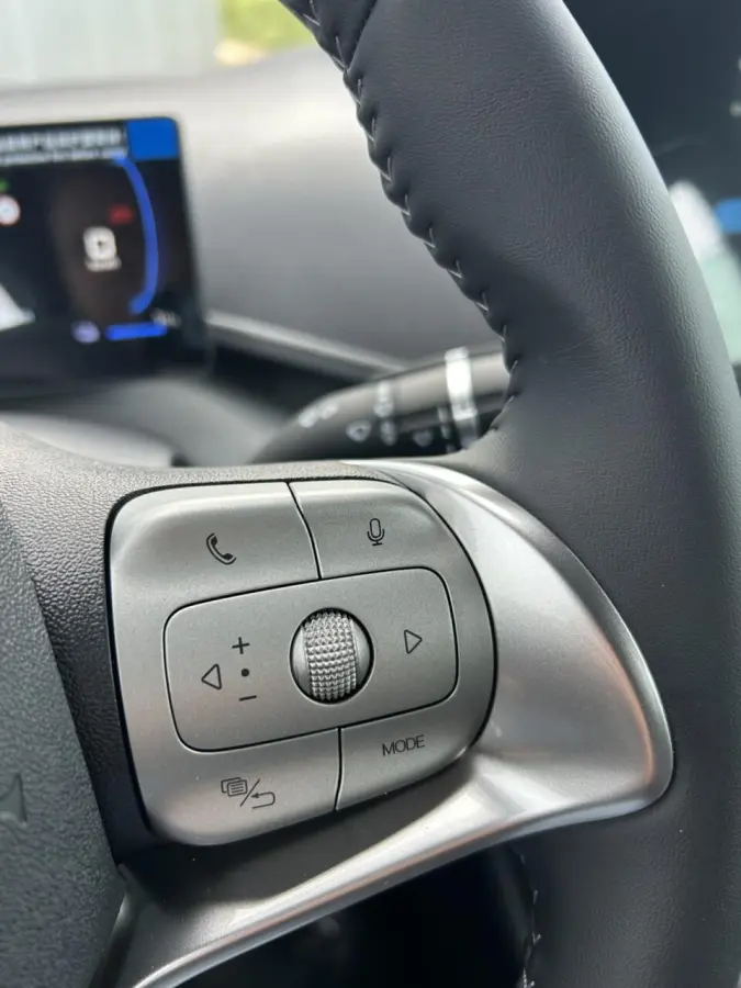 Boost 43 kWh NIEUW I DIRECT RIJDEN