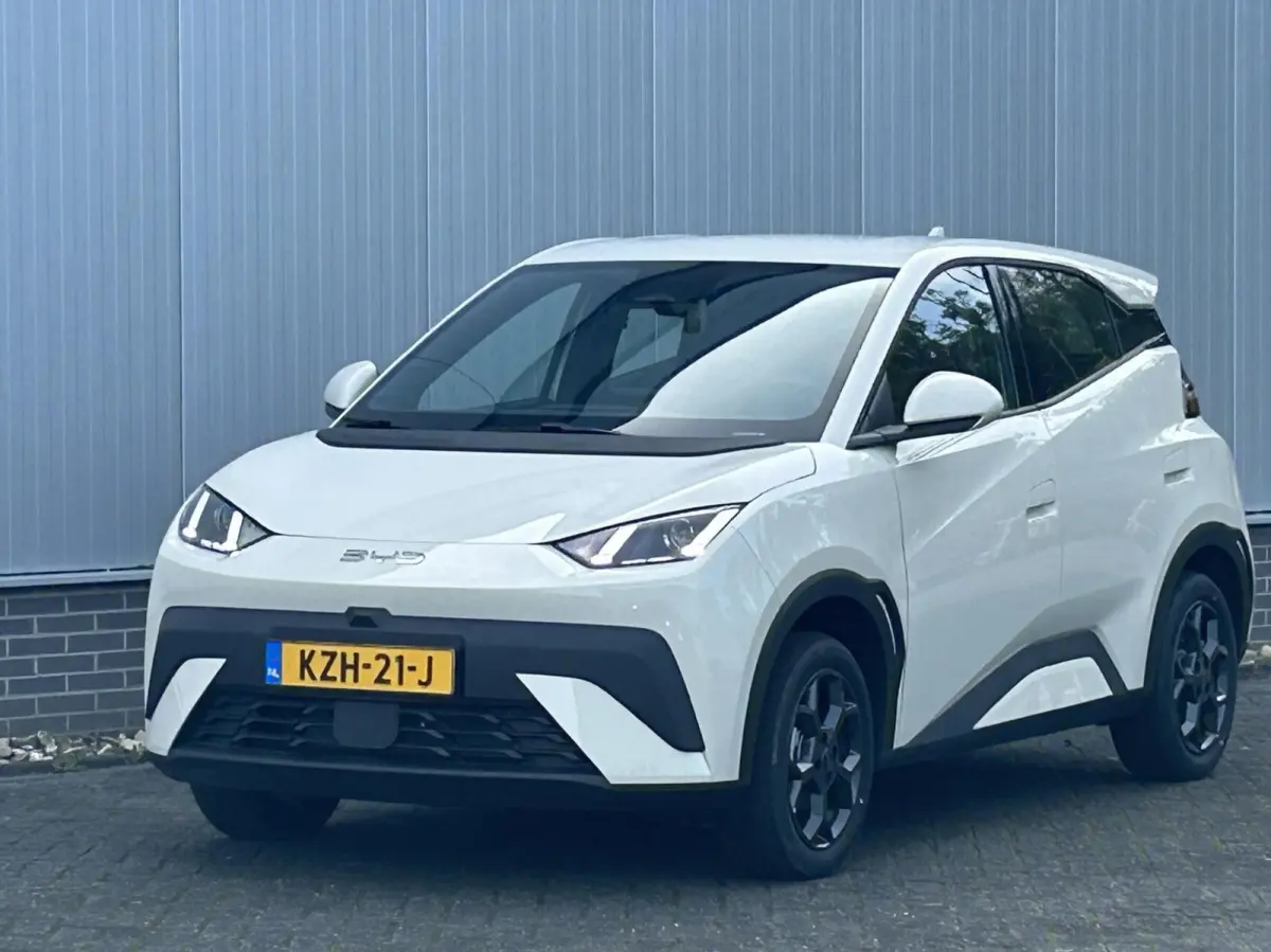 Boost 43 kWh NIEUW I DIRECT RIJDEN