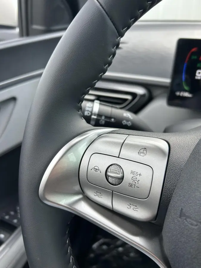 Boost 43 kWh NIEUW I DIRECT RIJDEN