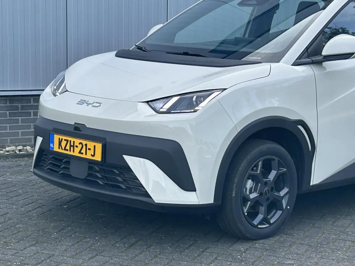 Boost 43 kWh NIEUW I DIRECT RIJDEN