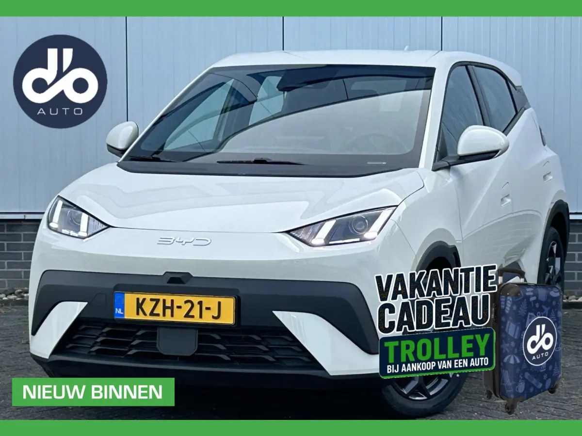 Boost 43 kWh NIEUW I DIRECT RIJDEN