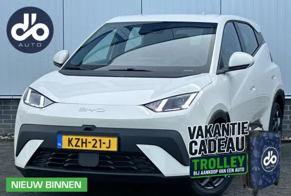 Boost 43 kWh NIEUW I DIRECT RIJDEN