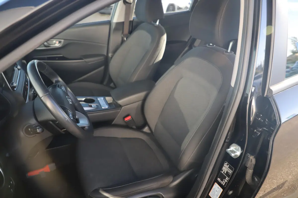 EV Comfort 64 kWh Automaat Hoge Instap Navigatie Achteruitrijcamera