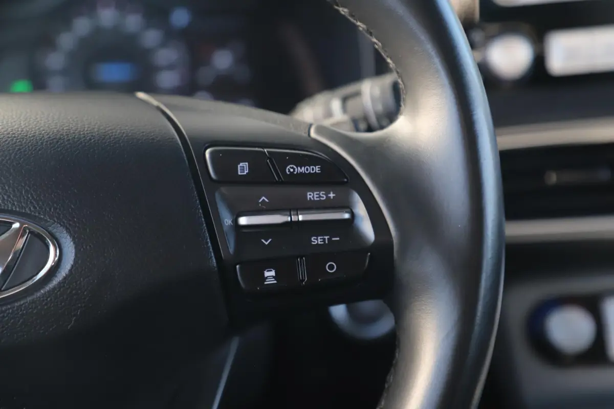EV Comfort 64 kWh Automaat Hoge Instap Navigatie Achteruitrijcamera