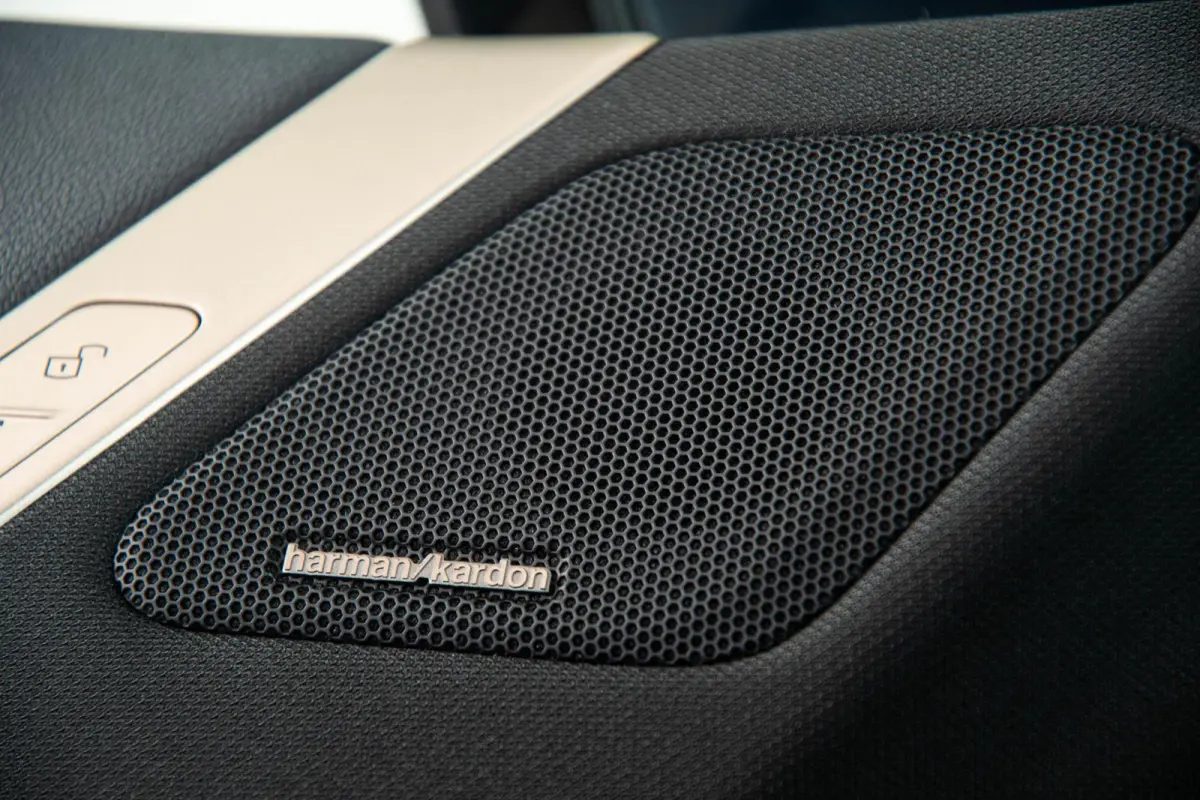 xDrive40 Excellence 77 kWh Trekhaak - Panoramadak - Driving Assistant Professional - Harman Kardon - Getinte Ruiten - Clear&Bold' kristalelementen - Warmte Comfortpakket voor en achter -