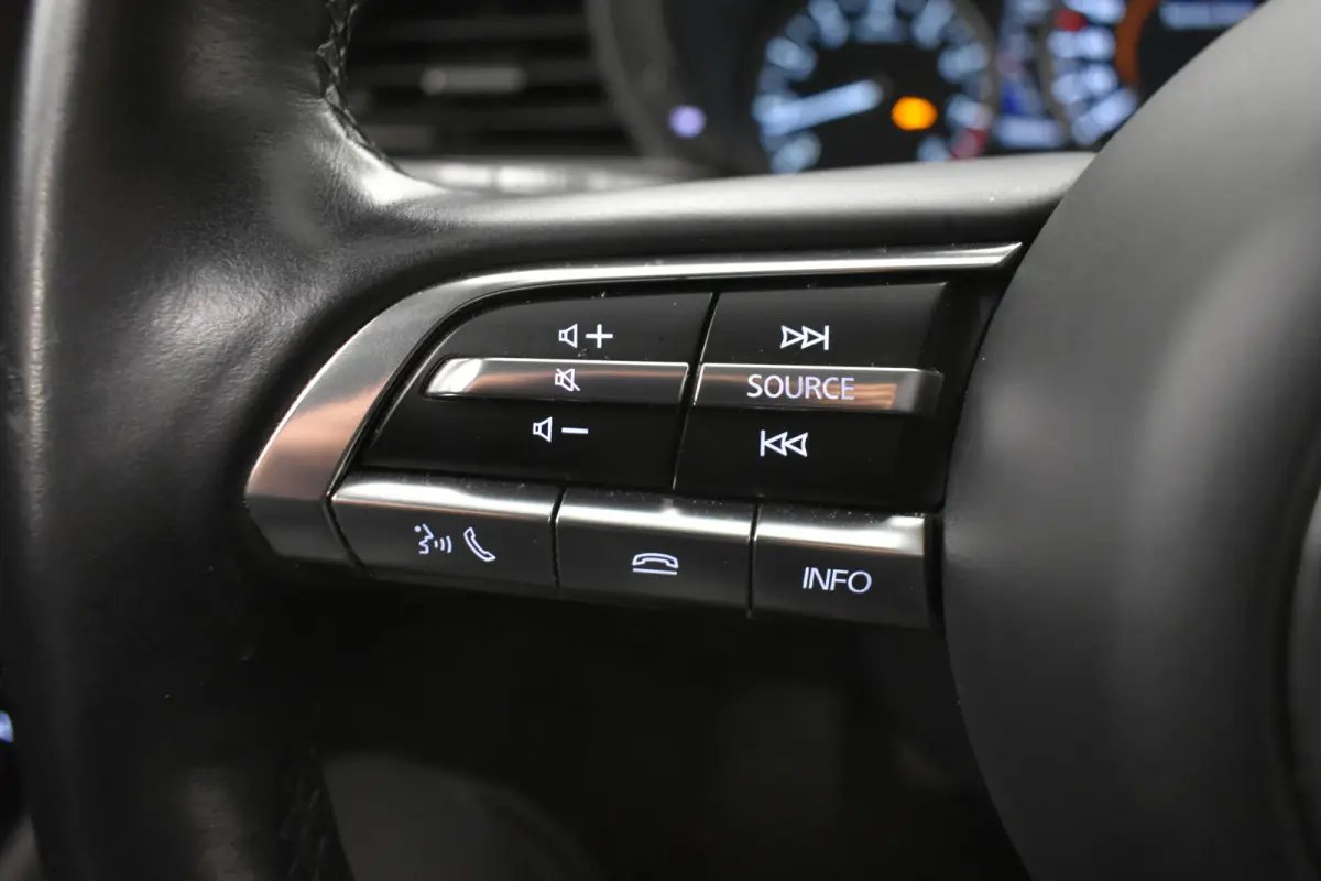 2.0 e-SkyActiv-X M Hybrid Luxury El aKlep+Stoel Bose Headup Vol leder Dodh