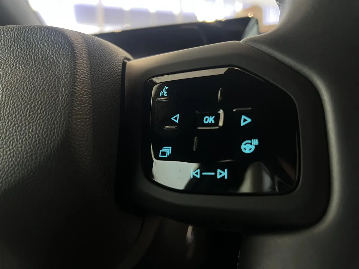 Premium Extended Range AWD 79 kWh