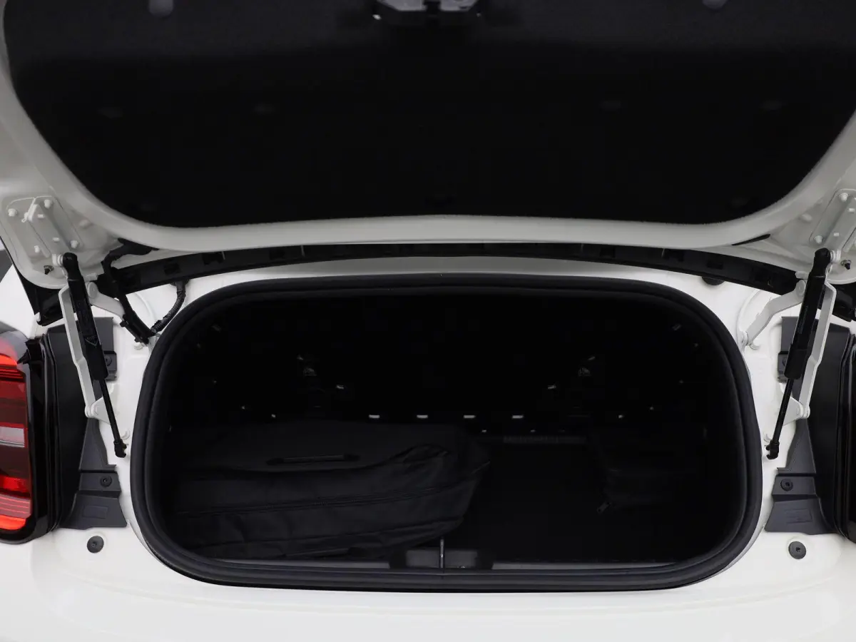 Icon 42 kWh Fiat 500