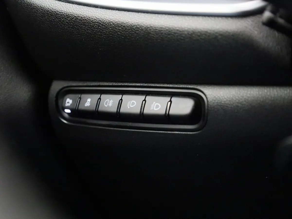 500e 42 kWh Icon