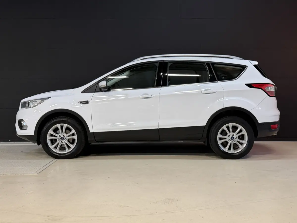 1.5 EcoBoost Titanium | Camera | Afn. trekhaak | Carplay | Keyless | Aut. inparkeren | Goed onderhouden